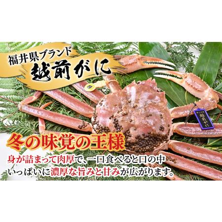 ふるさと納税 茹で越前がに ダブルタグ 1杯 1.1kg〜1.3kg《新鮮！茹でたてを発送》／ 高級 福井 ブランド ズワイガニ 黄色タグ.. 福井県あわら市