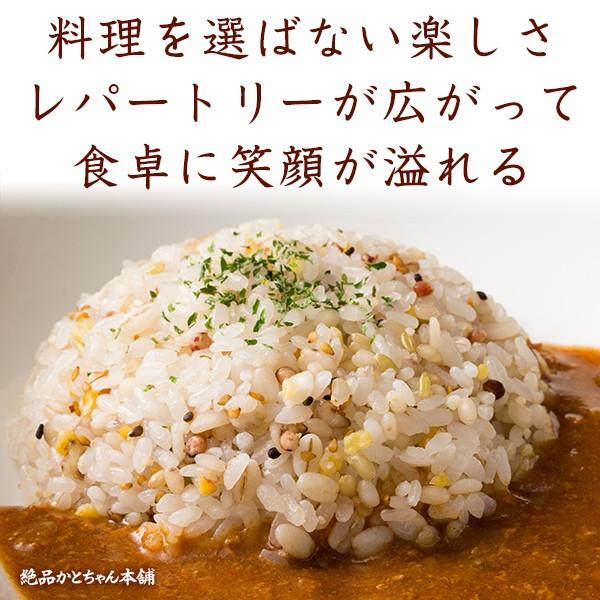 雑穀 雑穀米 国産 健康重視ヘルシーブレンド 900g(450g×2袋) 送料無料 ダイエット食品 置き換えダイエット 雑穀米本舗 ＼セール／