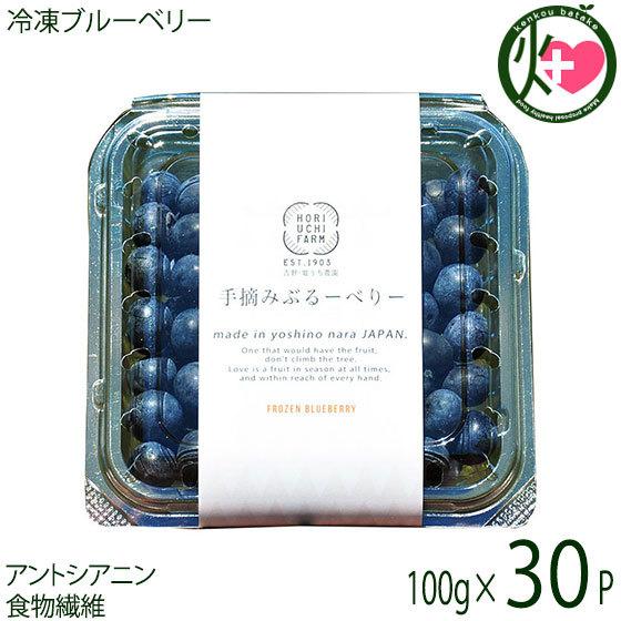 冷凍ブルーベリー100g×30P 堀うち農園 無農薬栽培 安心 安全