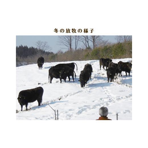 ふるさと納税 岡山県 新見市 千屋牛 モモ肩焼肉用(約300g) 牧場直送便 A5ランク