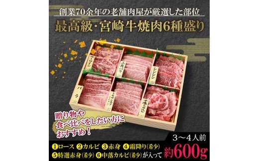 宮崎牛！特選！食べ比べ焼肉6種盛り(合計600g)