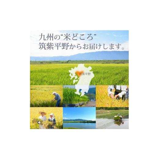 ふるさと納税 福岡県 大任町 福岡県産評価のお米「元気つくし」5kg×2袋 [10kg] [玄米]