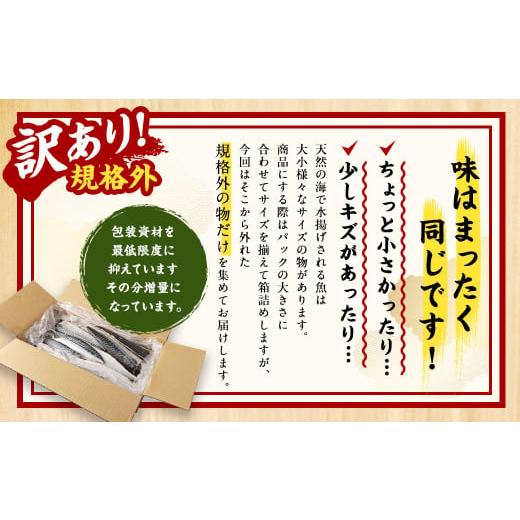 ふるさと納税 茨城県 神栖市   業務用 無添加 塩さば どーんと! 3kg 鯖 さば 塩サバ 干物 魚