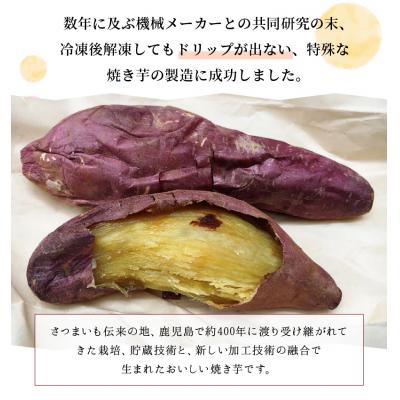 ふるさと納税 南九州市 南九州市産冷凍焼き芋「さつまミライ」900g