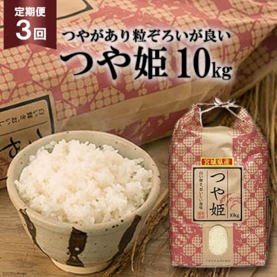 お米 3回 定期便 宮城産 つや姫 10kg×3回 総計30kg 菊武商店 宮城県