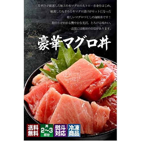 海鮮 ギフト プレゼント 内祝 人気 海鮮 グルメ ギフト セット 海鮮丼 海鮮 セット 福袋 刺身 おつまみ 魚 鮪 まぐろ 本鮪 大トロ 赤身 メ