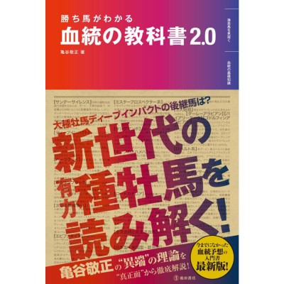 大都技研 3×3EYES（サザンアイズ）〜聖魔覚醒〜『コイン不要機シルバー