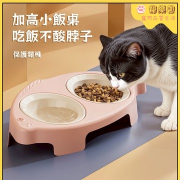 ⭐寵物水糧雙碗 寵物自動餵食器 貓咪喝水碗 狗糧碗 貓糧碗 貓咪食盆 小貓飯碗 狗狗飲水碗 寵物護頸碗 防打翻 犬貓用品