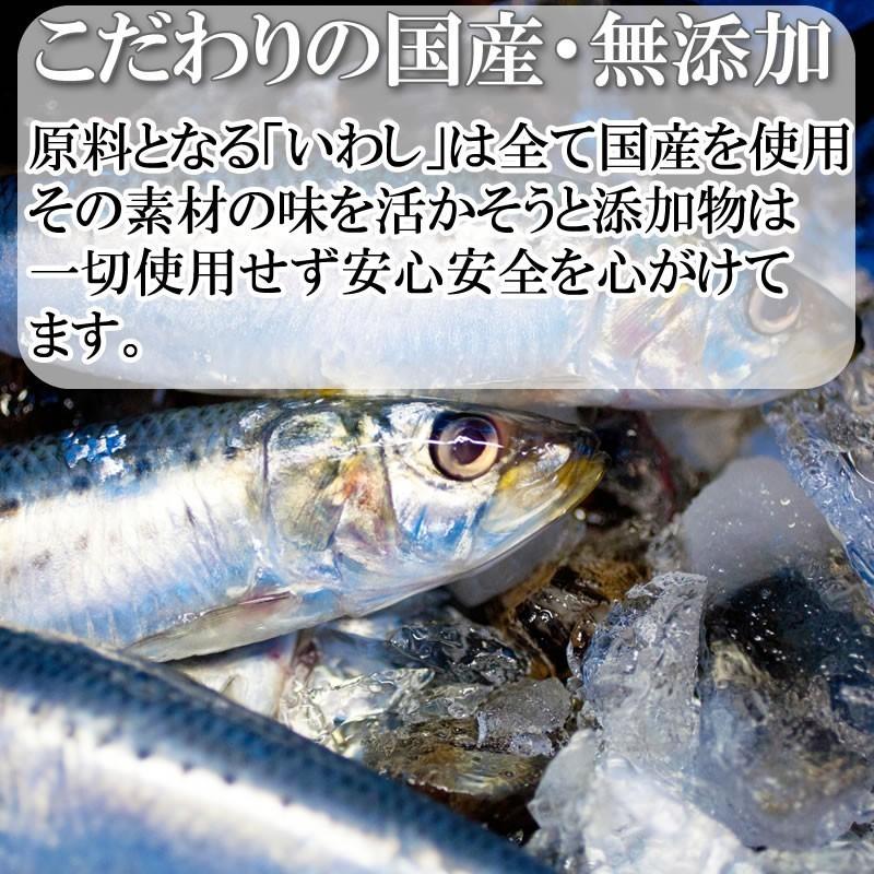 いわし 水煮 無添加 国産 480g 訳あり メール便 送料無料 [いわし水煮120g×4袋 BS] ネコポス 即送