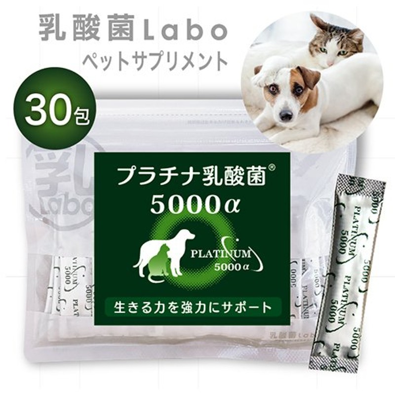 犬 猫 乳酸菌サプリ プラチナ乳酸菌5000α（顆粒タイプ１袋スティック30包入）ペットサプリ 国産 猫用 犬用 便秘 整腸 サプリメント 腸内環境 サプリ 通販 LINEポイント最大0.5%GET | LINEショッピング