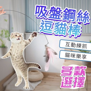 🌈愛寵✨逗貓棒吸盤彈力 羽毛逗貓棒 可替換頭 可拆卸 貓玩具 彈力鋼絲 堅固耐玩 超強吸附 貓咪玩具 貓咪逗貓棒