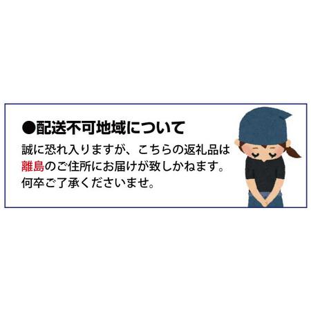 ふるさと納税 魚鶴厳選！人気のお魚集合定期便（さば・銀鮭・うなぎ） 和歌山県串本町