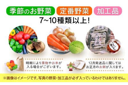 期間限定！季節の野菜・加工品 7～10種以上 詰合せ「おもいでな野菜セット」 [e26-a001]