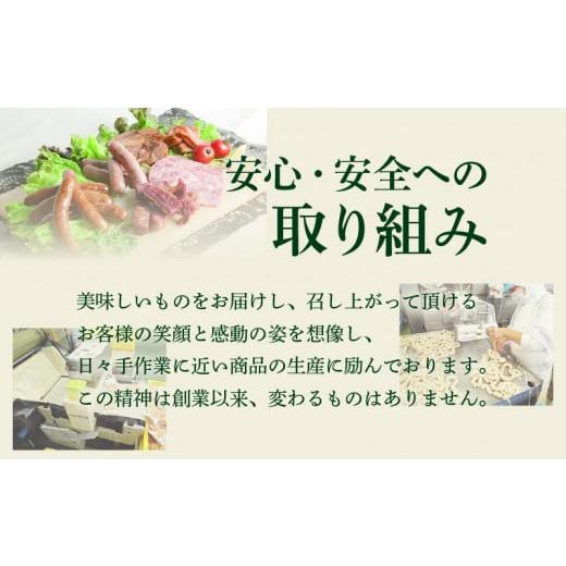 ふるさと納税 鹿児島県 鹿児島市 お試し用に！訳あり切り落としベーコン3P　K161-015