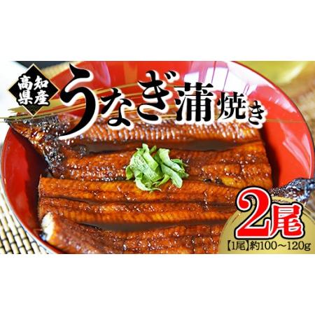 ふるさと納税 高知県産養殖うなぎ蒲焼き 100〜120g 2尾セット Bfb-0009 高知県香南市