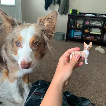 【客製化3D寵物紀念公仔】訂製手作似顏繪肖像狗狗貓咪毛小孩娃娃