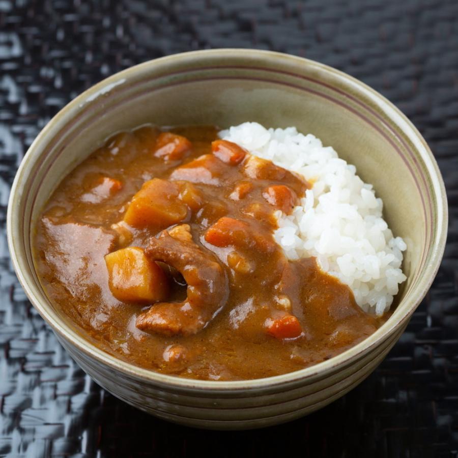 取り寄せ グルメ ギフト カレー 兵庫 三田屋総本家 黒毛和牛の欧風ちょこっとビーフカレー 10食入