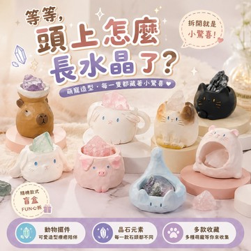 🔥台灣現貨 貓貓水晶原礦盲盒 水晶礦石 氛圍燈光 桌面裝飾 造型擺件 可滴精油 香氛擴香石 禮物 生日禮物 交換禮物