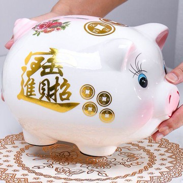 ✨臺灣出貨✨存錢罐只進不出小豬儲蓄罐可愛女生創意陶瓷儲錢罐兒童打不開成人