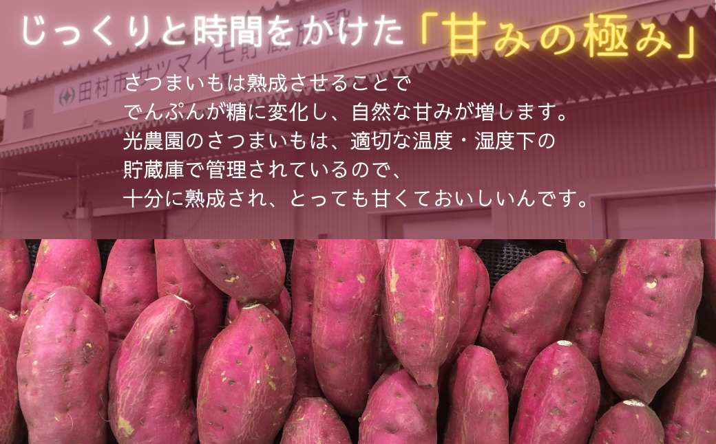  さつまいも「 紅はるか 」3kg 芋 いも サツマイモ 焼き芋 やきいも 熟成 農家直送 国産 福島県 田村市 ふくしま たむら 光農園 Ｎ73-V05-01