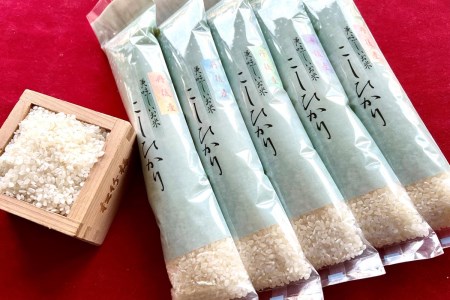 令和5年産 新米 1等米 丹後こしひかり 美白精米 1.5kg(2合×5袋)