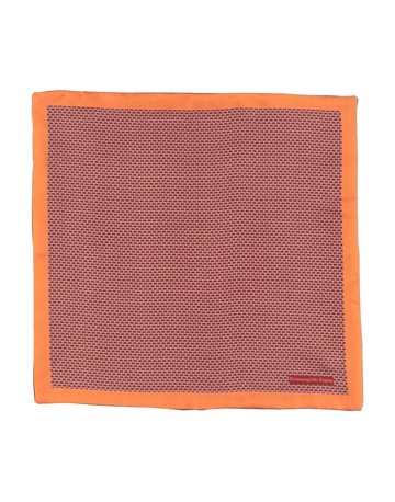 ZEGNA Scarves - Item 31054811