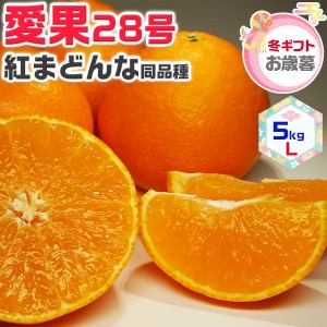 みかん 愛果28号 あいか (紅まどんな同品種) 5kg Lサイズ 家庭用 松山市…