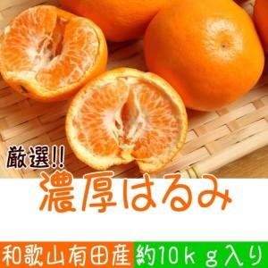 ふるさと納税 AB7056_和歌山有田の濃厚 はるみ 10kg (SまたはMサイズ) 和歌山県湯浅町