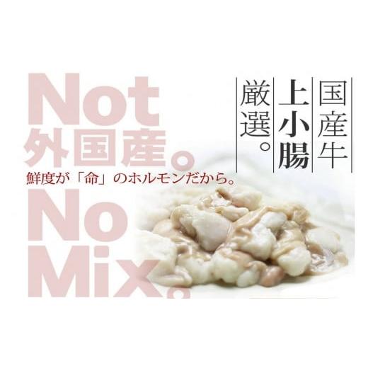 ふるさと納税 福岡県 小郡市 国産牛 上ホルモン 博多もつ鍋＆ありた鶏 博多水炊き 3回コースB