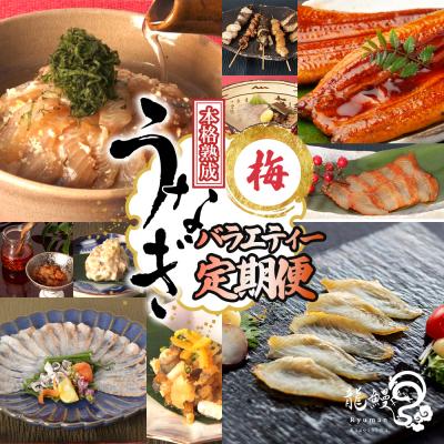 ふるさと納税 大崎町 うなぎの概念が変わる!!龍鰻バラエティー定期便《梅》