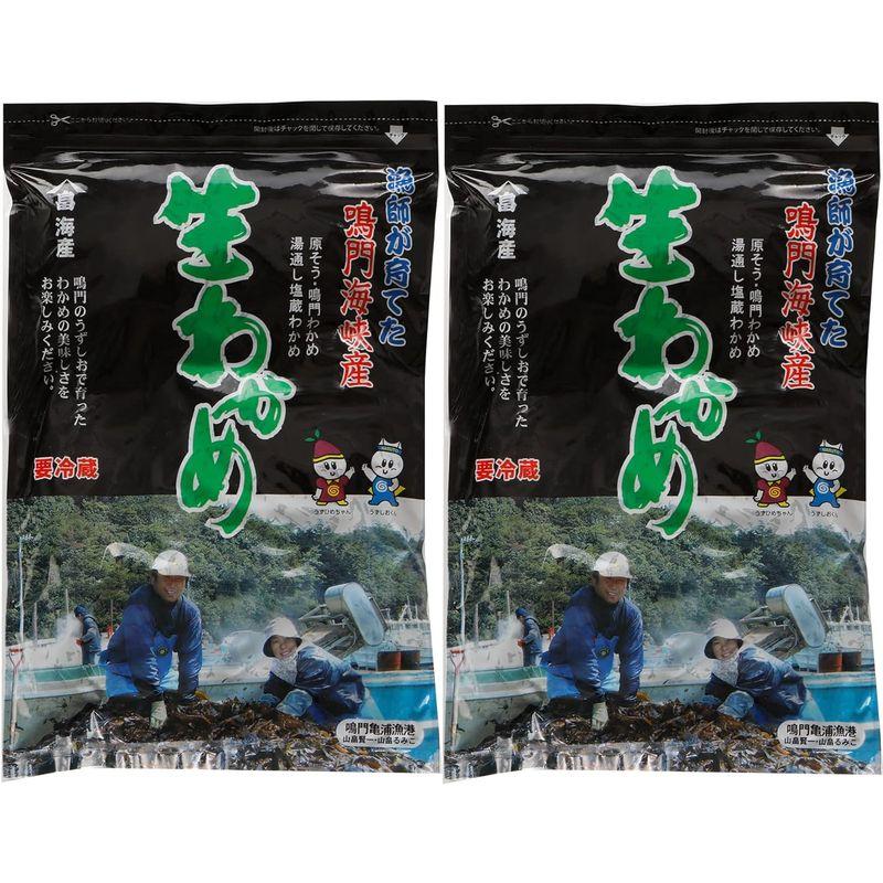 贈答用 生産者直送 国産 徳島県 鳴門海峡 塩蔵 生わかめ 箱入り 500g×2個