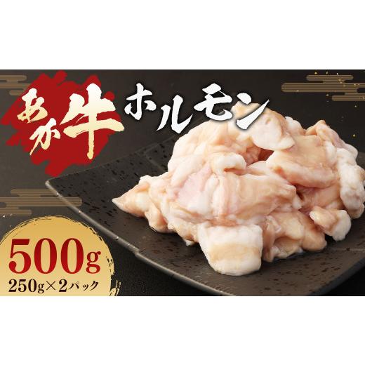 ふるさと納税 熊本県 水俣市 あか牛 ホルモン 500g (250g×2パック) 牛肉 お肉