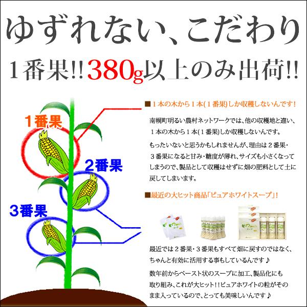 とうもろこし 食べ比べ 40本(白20本・黄20本 冷蔵便) 北海道産 朝採り コーン とうきび 南幌町明るい農村ネットワーク 送料無料 お取り寄せ