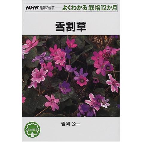 雪割草 (NHK趣味の園芸 よくわかる栽培12か月)
