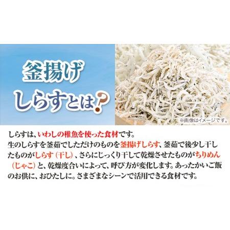 ふるさと納税 釜揚げしらす900g（木箱) 大五水産 《30日以内に順次出荷(土日祝除く)》 和歌山県 紀の川市 しらす 釜揚げしらす 和歌山県紀の川市