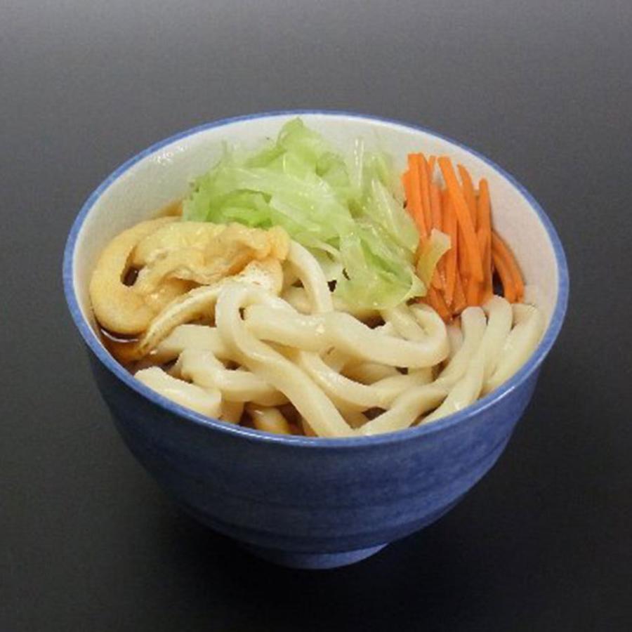 山梨 創業明治35年「平井屋」 吉田のうどん (2人前)×5