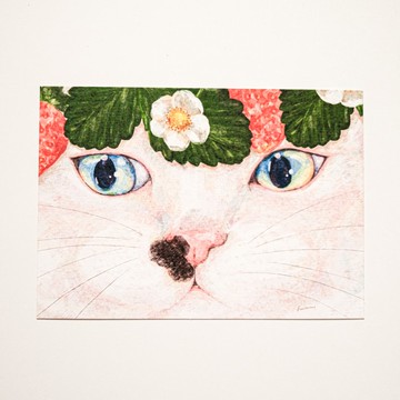 明信片 貓與草莓花