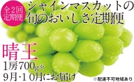 ぶどう 2024年 先行予約 9月・10月発送 シャイン マスカット 晴王 1房 約700g ブドウ 葡萄  岡山県産 国産 フルーツ 果物 ギフト