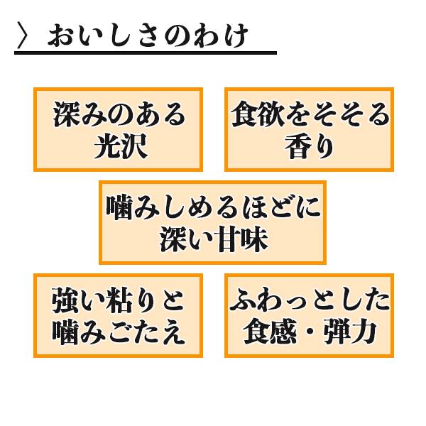 米 筑波北条米 5kg 2021年産 精米 白米