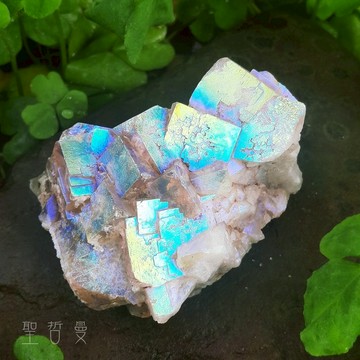 土桑精選:英國日光螢石水光精品AF25-21 Aura Fluorite ~Rogerley、Diana Maria
