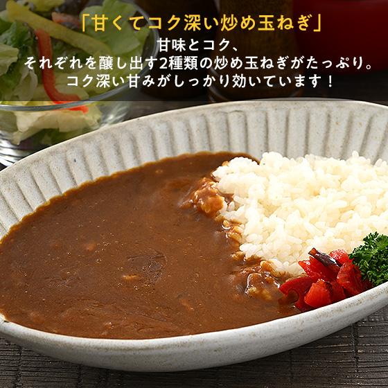 日本食研カレー 200g×1袋 中辛口 日本食研 カレー ビーフカレー レトルト レトルトカレー