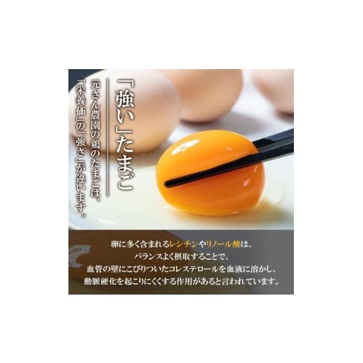 ふるさと納税 大分県 佐伯市 平飼い烏骨鶏のたまご (計10個) 元さん農園