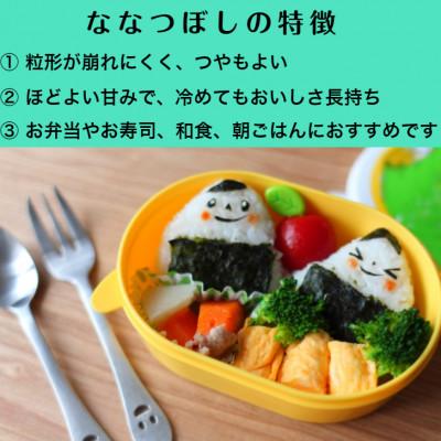 ふるさと納税 月形町 北海道月形町産ななつぼし「精米」20kg　特Aランク獲得13年連続獲得