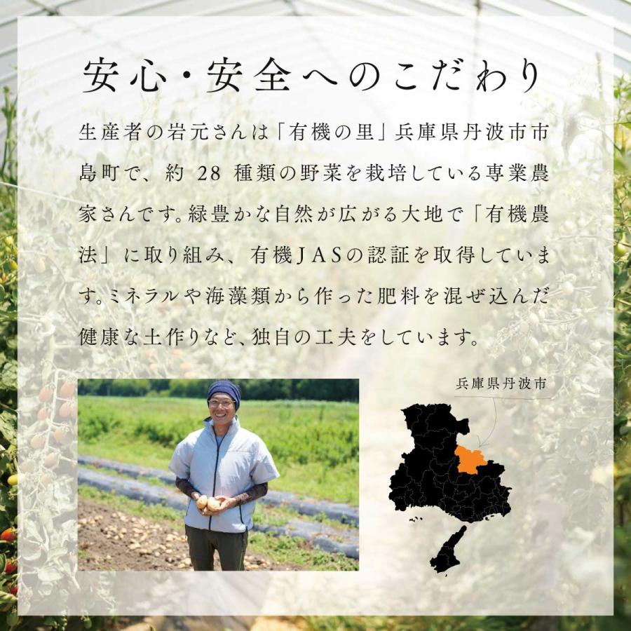 野菜セット 有機 詰め合わせ 7品目 兵庫県産  産地直送 クール便 国産 農家直送 有機野菜セット