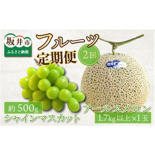 ふるさと納税 福井県 坂井市 フルーツ定期便2回(アールスメロン1玉 1.7kg以上 ＆ シャインマスカット1房) 【2024年8月中旬以…