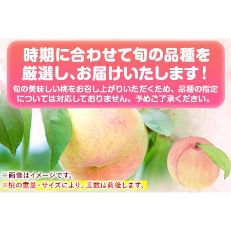 ふるさと納税 桃 もも 岡山の桃 合計1.3kg (約4〜8玉)《2024年6月下旬-9月上旬頃より順次出荷》ご家庭用 訳あり スイ.. 岡山県矢掛町