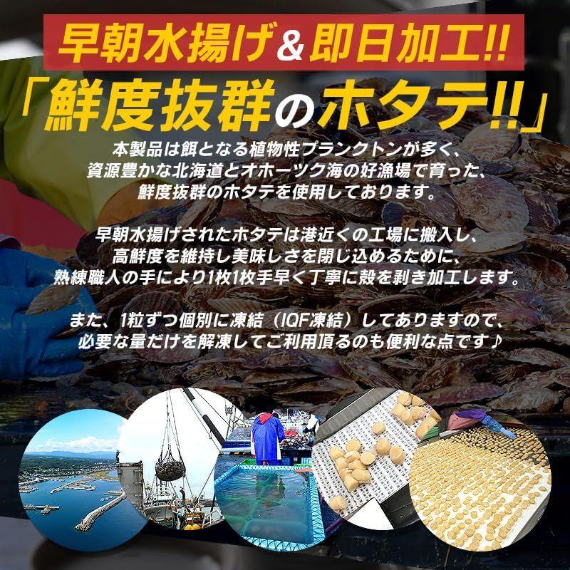 ホタテ ほたて 貝柱 1kg ホタテ貝柱 帆立 お取り寄せ 刺身用 冷凍 北海道