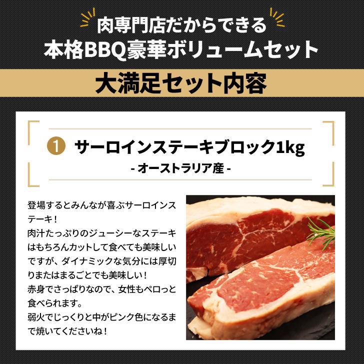 ボリューム満点！BBQ肉 3点 ソース