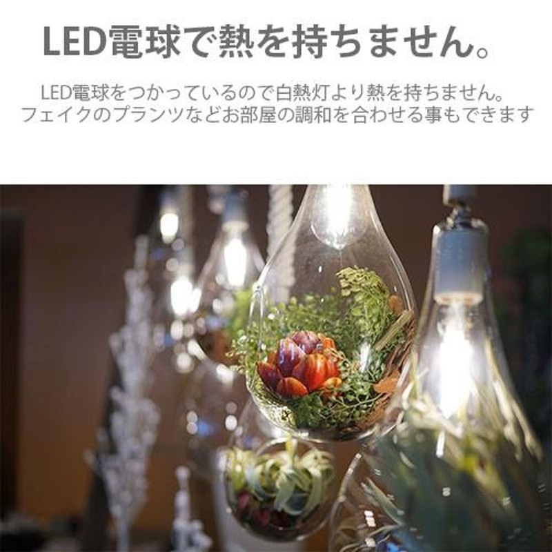 SWAN スワン電器 Another Garden BOTANIC Hanging light (L