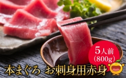 本マグロ まぐろお刺身用 赤身5人前(800g) 鮪 海鮮丼 刺し身 刺身 盛り合わせ 冷凍 魚の刺身 大分県産 九州産 津久見市 熨斗対応